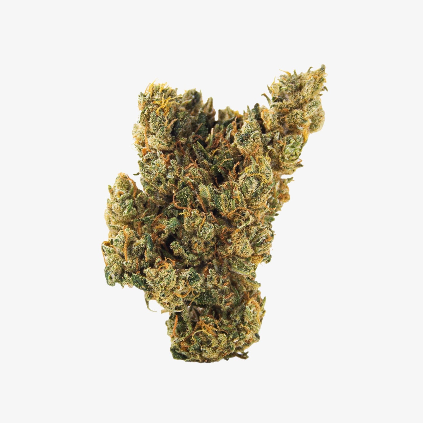 new standard hemp hawaiian haze cbd flower