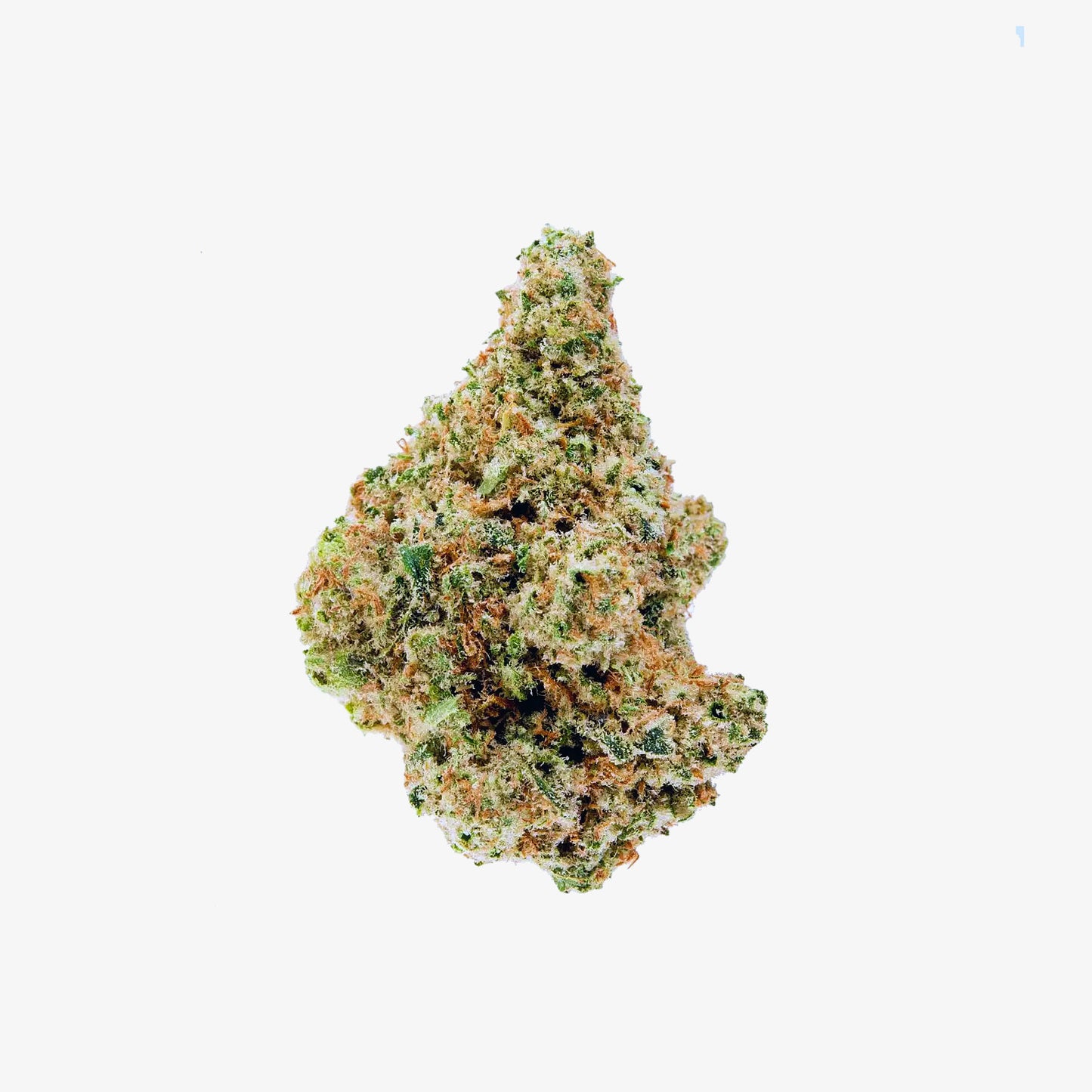 haze exotics thc-a flower apricot scone detail