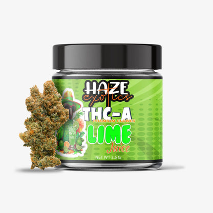 haze exotics thc-a flower lime juice 3.5 gram jar