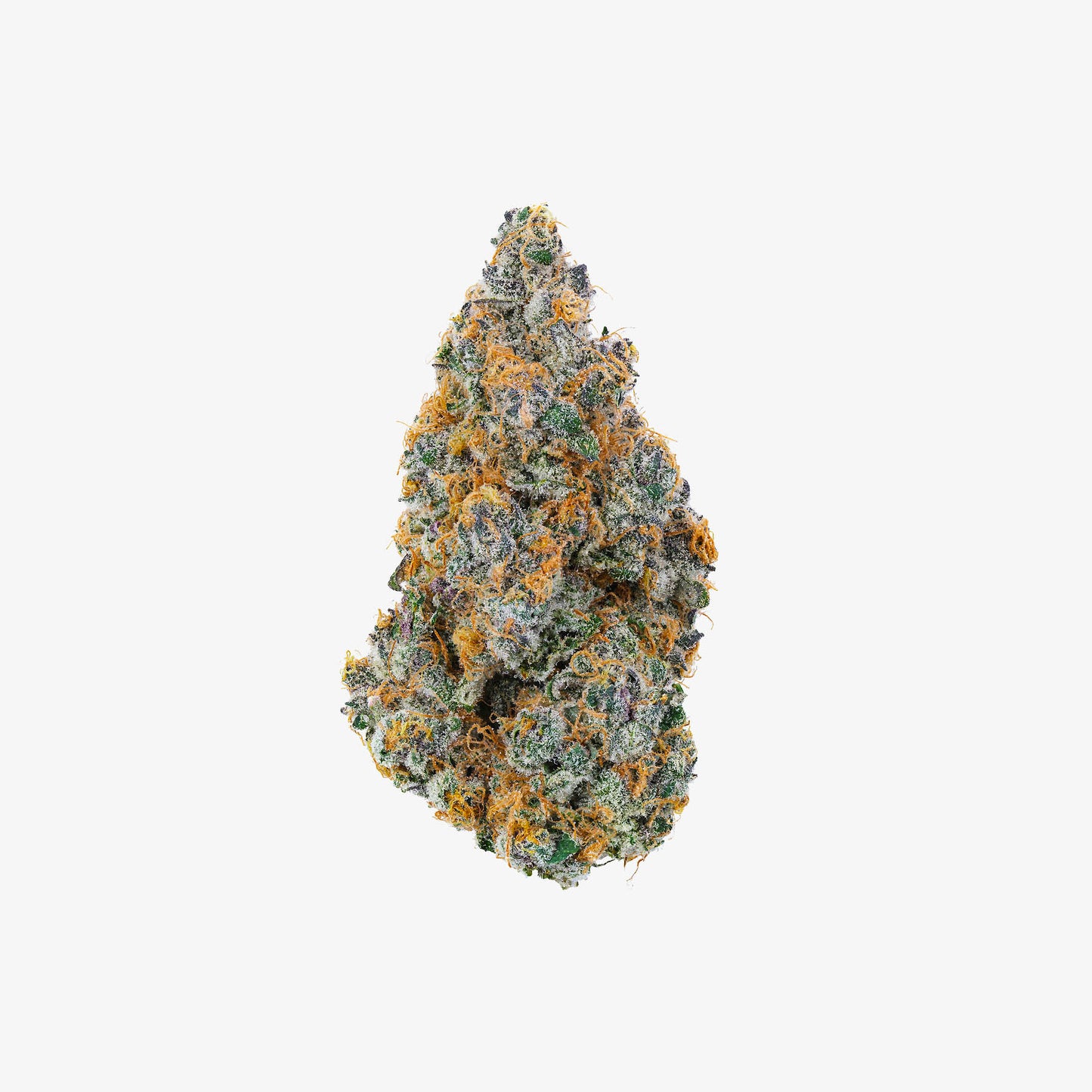 THC-A FLOWER / 3.5G JAR / SUPER BOOF / HAZE EXOTICS GOLD RESERVE