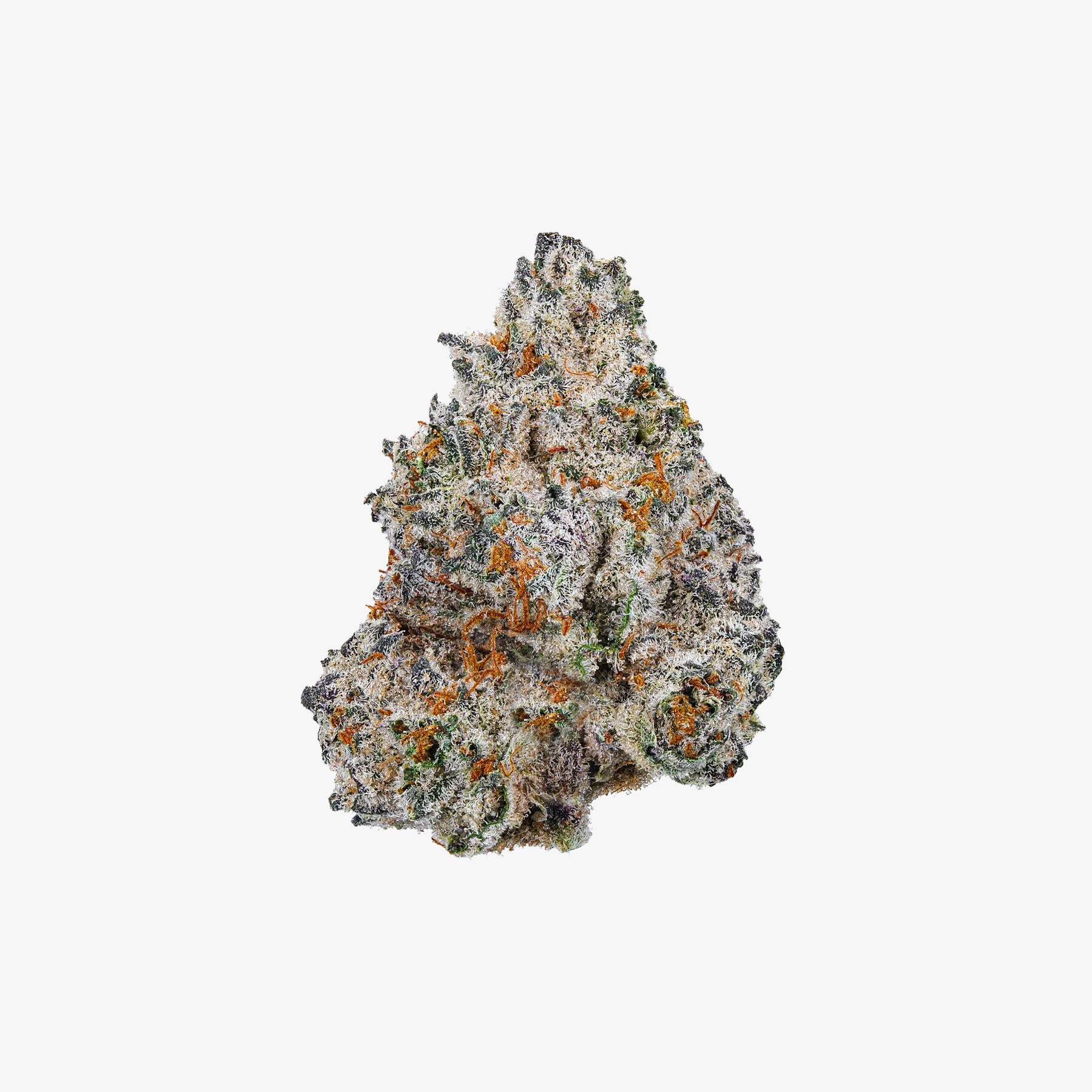 haze exotics thc-a flower white truffle detail